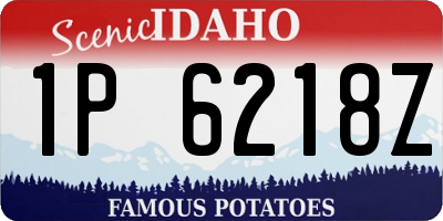 ID license plate 1P6218Z