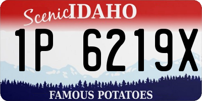 ID license plate 1P6219X