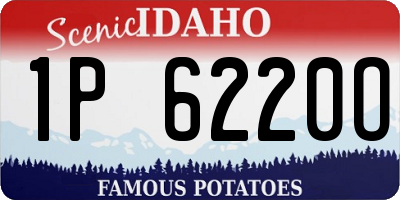 ID license plate 1P6220O