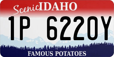 ID license plate 1P6220Y