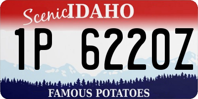 ID license plate 1P6220Z