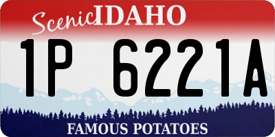 ID license plate 1P6221A