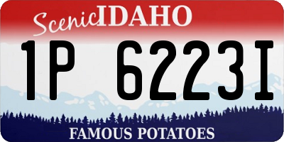 ID license plate 1P6223I