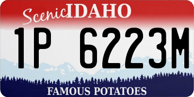 ID license plate 1P6223M