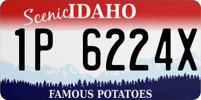 ID license plate 1P6224X