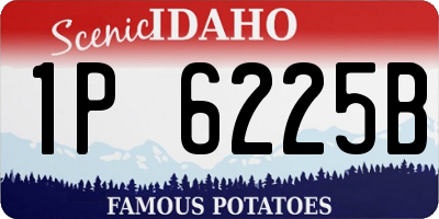 ID license plate 1P6225B