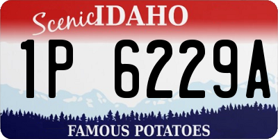 ID license plate 1P6229A