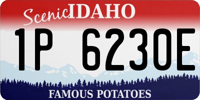 ID license plate 1P6230E