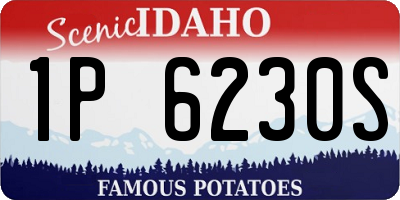ID license plate 1P6230S