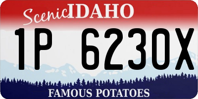 ID license plate 1P6230X