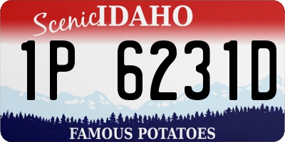 ID license plate 1P6231D