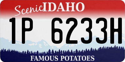 ID license plate 1P6233H