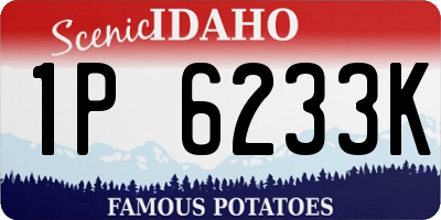 ID license plate 1P6233K