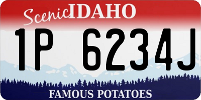 ID license plate 1P6234J