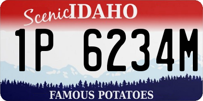 ID license plate 1P6234M