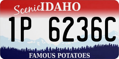 ID license plate 1P6236C