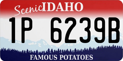 ID license plate 1P6239B