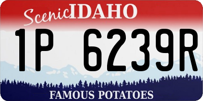 ID license plate 1P6239R