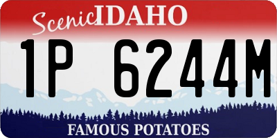ID license plate 1P6244M