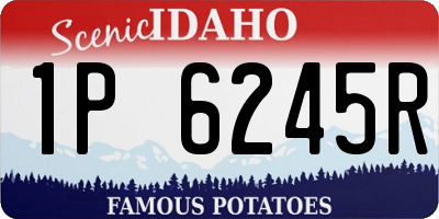 ID license plate 1P6245R