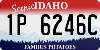ID license plate 1P6246C