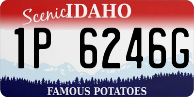 ID license plate 1P6246G