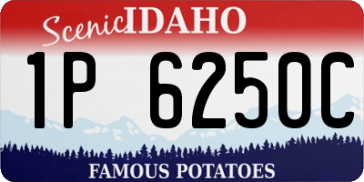 ID license plate 1P6250C