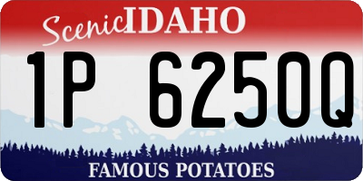ID license plate 1P6250Q