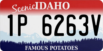 ID license plate 1P6263V