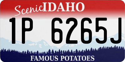 ID license plate 1P6265J