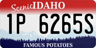 ID license plate 1P6265S