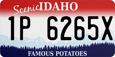 ID license plate 1P6265X