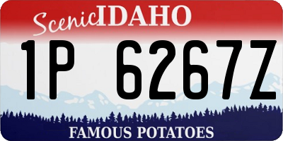 ID license plate 1P6267Z