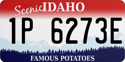 ID license plate 1P6273E