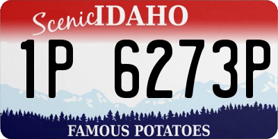 ID license plate 1P6273P