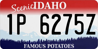 ID license plate 1P6275Z