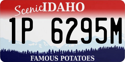 ID license plate 1P6295M