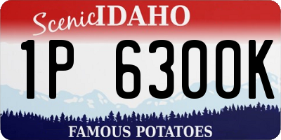 ID license plate 1P6300K