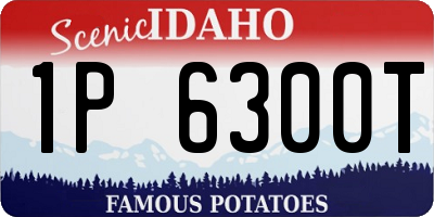 ID license plate 1P6300T