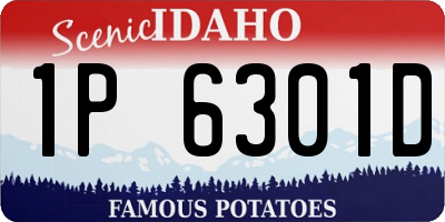 ID license plate 1P6301D