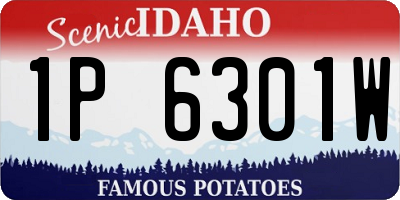 ID license plate 1P6301W