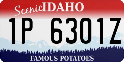 ID license plate 1P6301Z