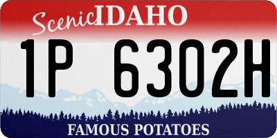 ID license plate 1P6302H