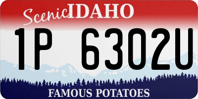 ID license plate 1P6302U