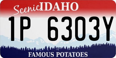 ID license plate 1P6303Y