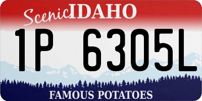 ID license plate 1P6305L