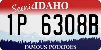 ID license plate 1P6308B