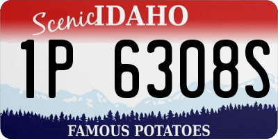 ID license plate 1P6308S
