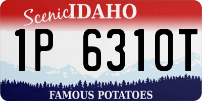 ID license plate 1P6310T