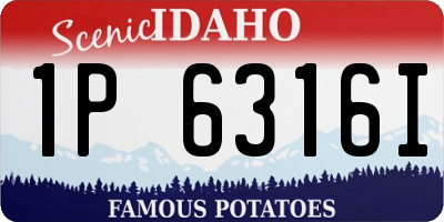 ID license plate 1P6316I